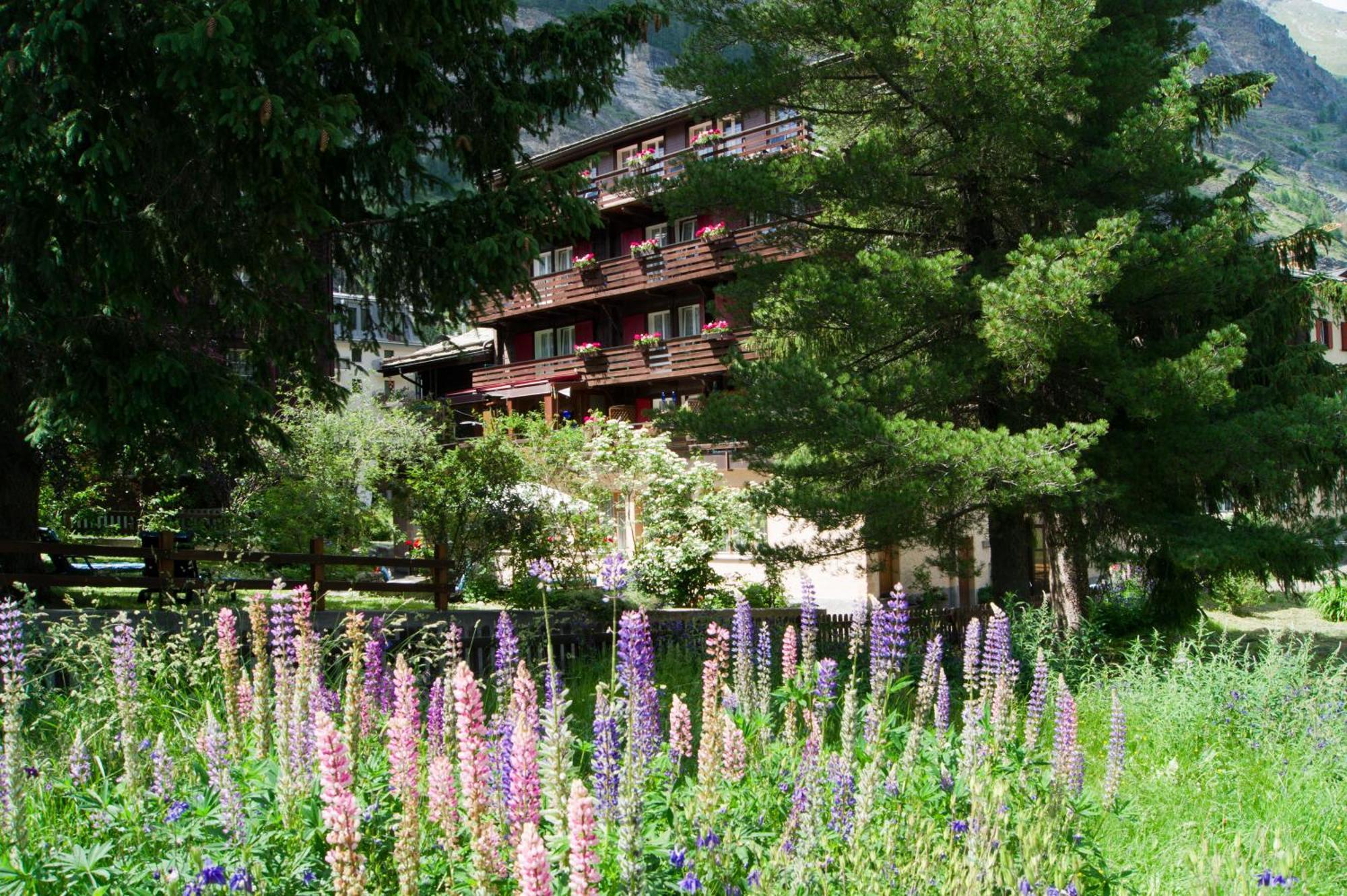 Hotel Alpina Zermatt Exterior photo